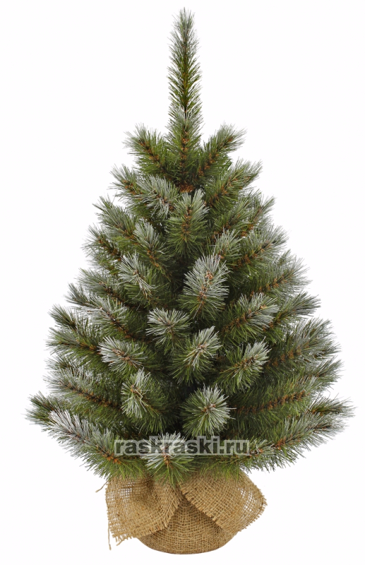   Triumph Tree    , 60  Triumph Tree 73062