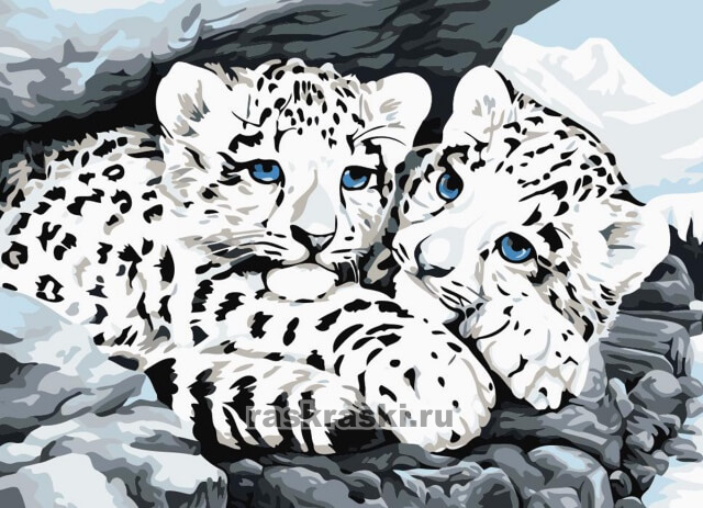      LE051