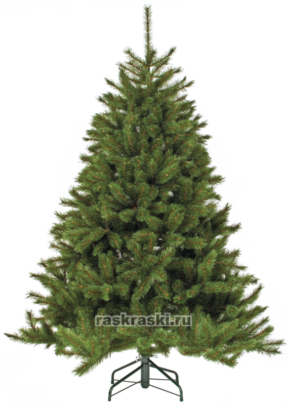    « » 155 ,  Triumph Tree 73240