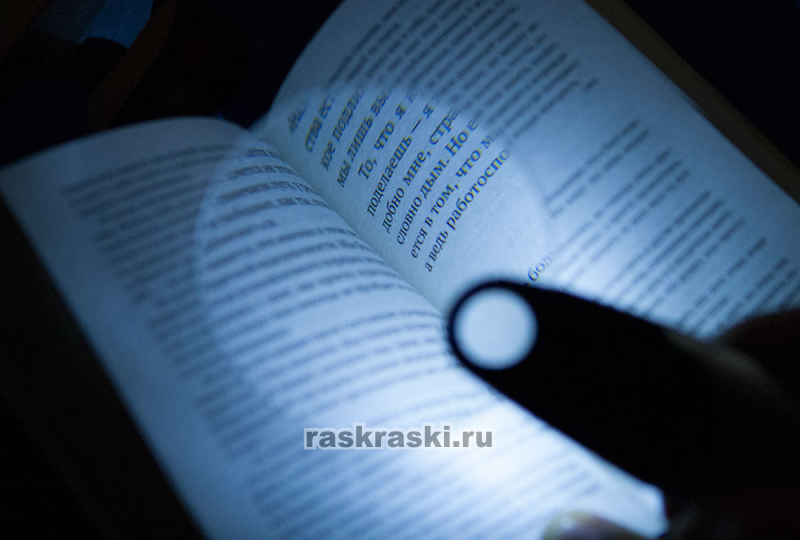   2/6  LED- Rexant 12-0408