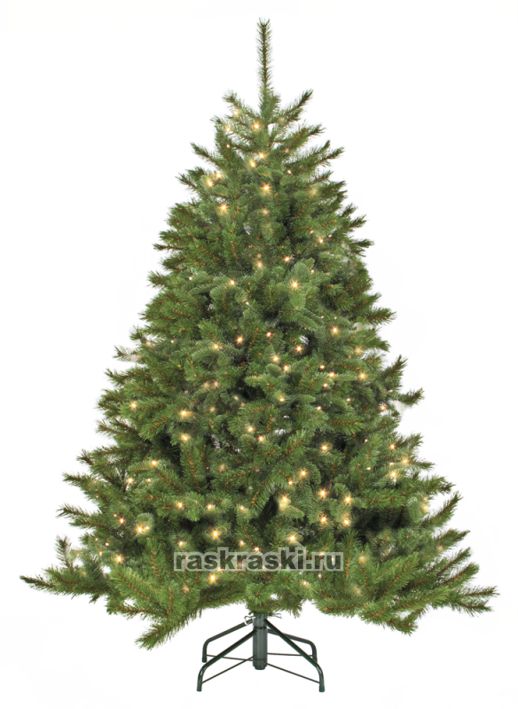   Triumph Tree « »   155 ,  Triumph Tree 73703