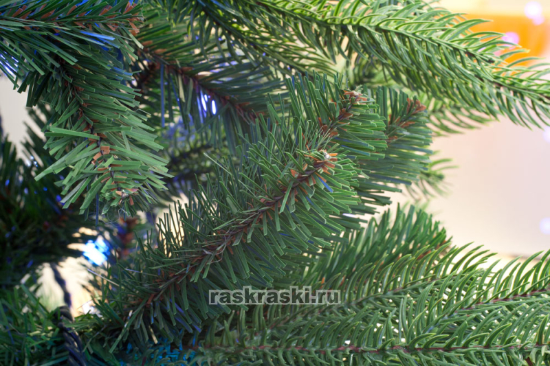   Triumph Tree « » 185 ,  Triumph Tree 73370