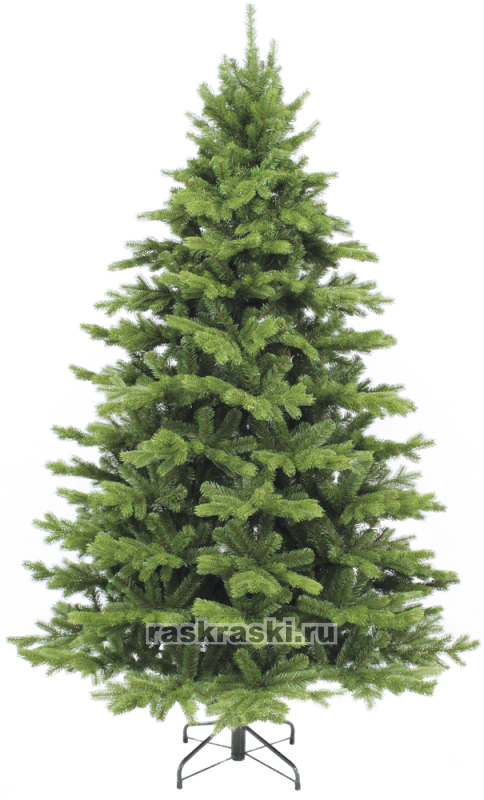   Triumph Tree « » 185 ,  Triumph Tree 73370