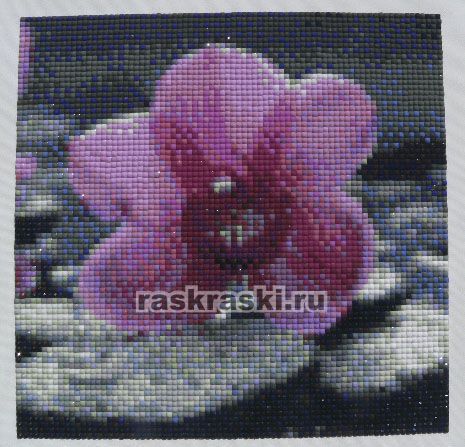        DS018